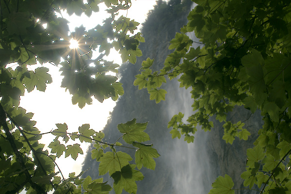 cascade-contre-jour-feuillage