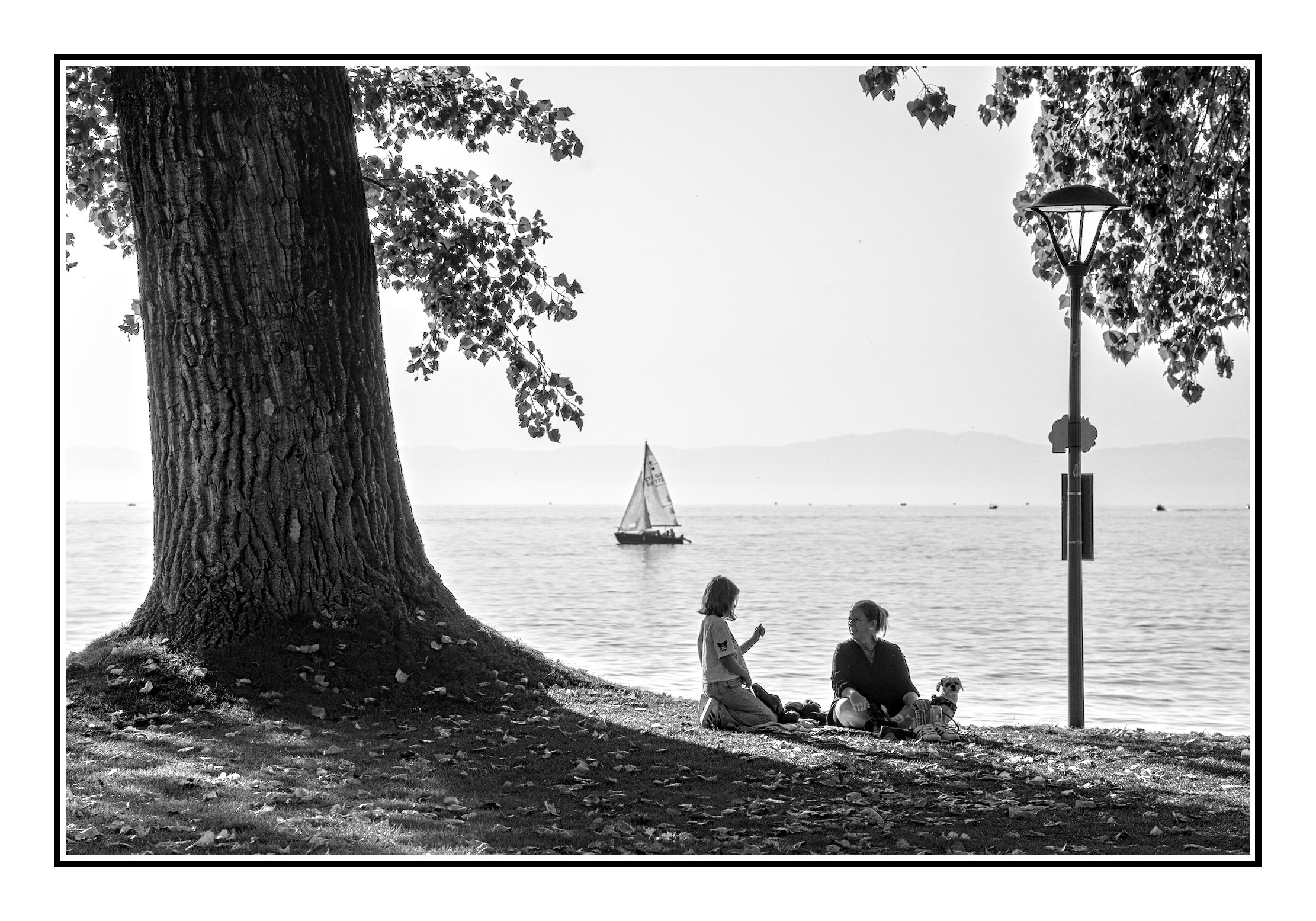 Une vigoureuse discussion