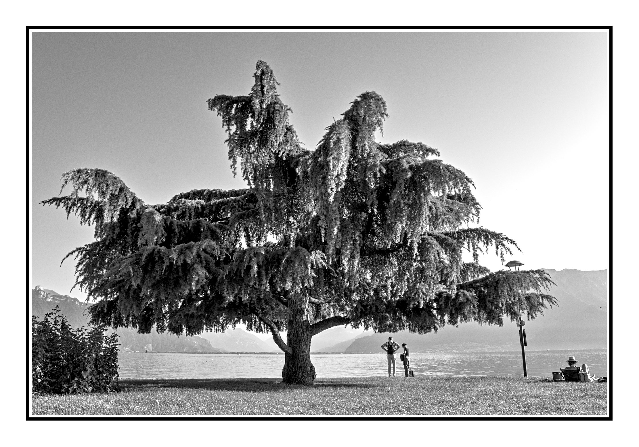 Un parasol pour la pause