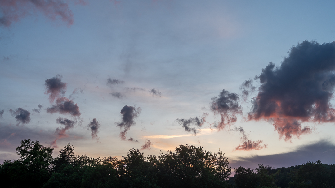 25-05-13_foret-ruisseau-belfaux_012