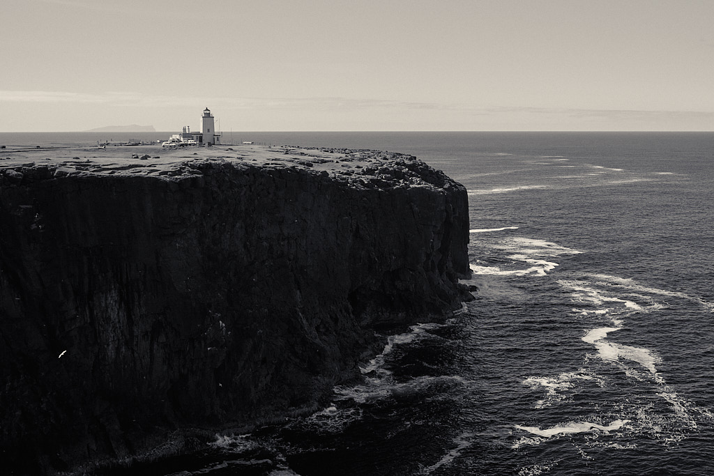 fulmar_25-04-24_shetland_WAF00171