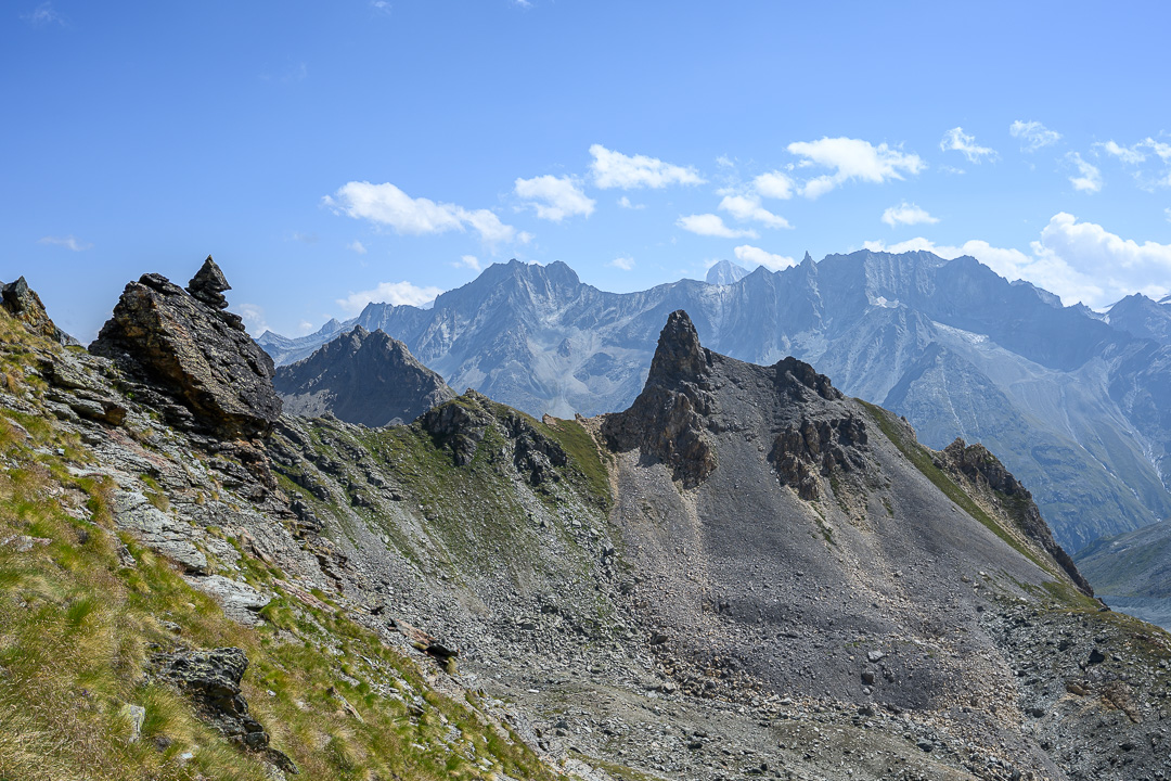 26-08-05_papillon_001